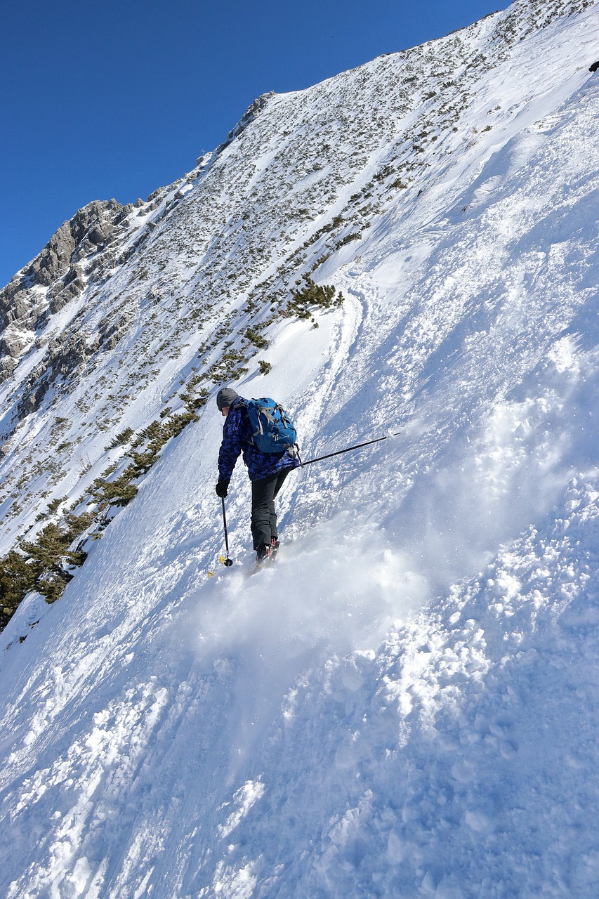 ski, winter, nature-7043638.jpg