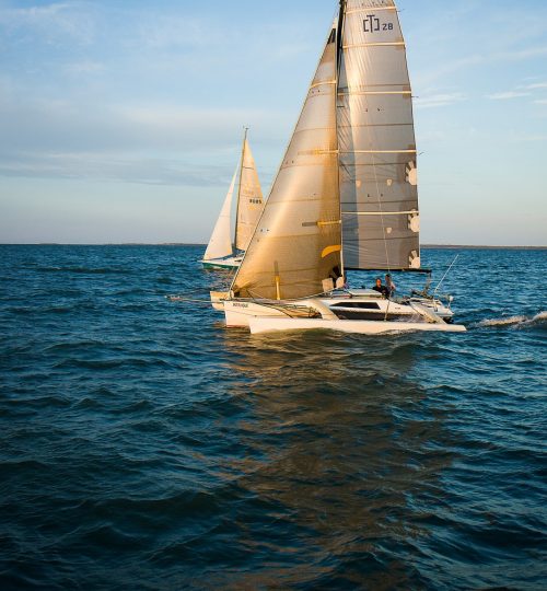 sailing, boats, sea-5242101.jpg